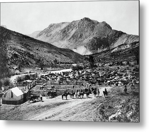 1905 Metal Print featuring the photograph Colorado Cimarron, C1905 by Granger