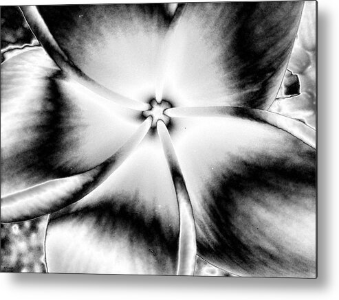 Black Metal Print featuring the digital art Colorless Beauty by Rebecca Flaig