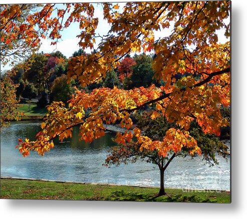 Nature Metal Print featuring the photograph Colors Of Fall by Marcia Lee Jones