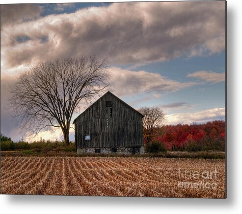 Farm Metal Print featuring the photograph Corn Rows by Terry Doyle