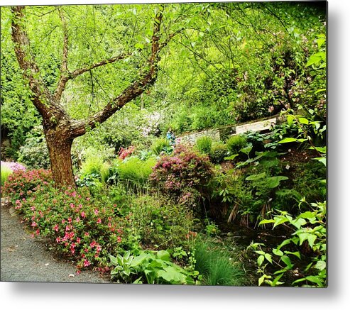 City Park Metal Print featuring the photograph Crystal Springs by VLee Watson