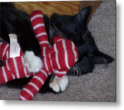 Kitten Metal Print featuring the photograph Cupcakes' Christmas close up by Gene Ritchhart