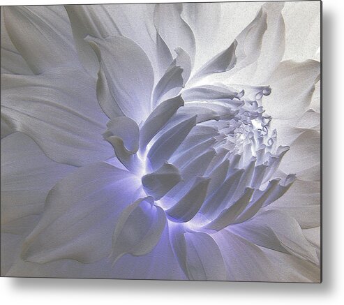 Dahlia Silver Metal Print featuring the photograph Dahlia Inner Beauty by Lora Fisher