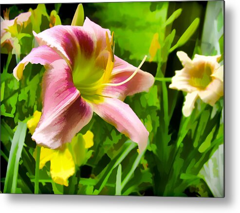 Flowers Metal Print featuring the photograph Daylily by Harry B Brown