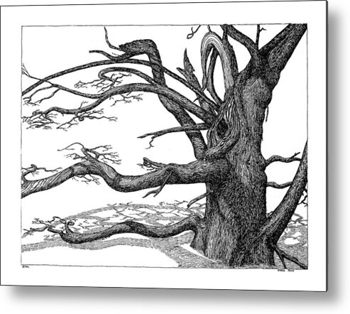Nature Metal Print featuring the drawing Dead Tree by Daniel Reed