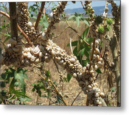 Savanna Metal Print featuring the photograph Deadly beauty by Chani Demuijlder