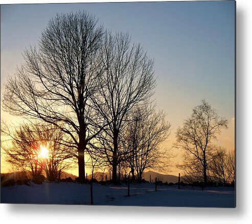 December Sundown Through The Trees Metal Print featuring the photograph December Sundown Through The Trees by Joy Nichols
