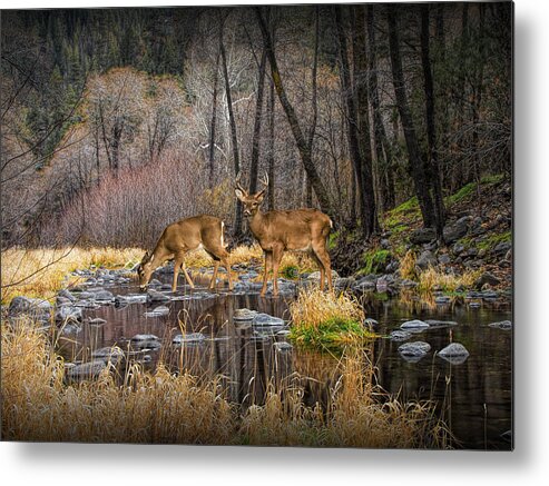 Art Metal Print featuring the photograph Deer Crossing by Randall Nyhof