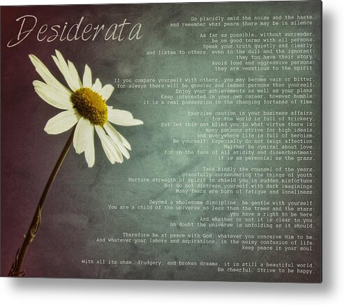 Desiderata Metal Print featuring the photograph Desiderata with Daisy by Marianna Mills