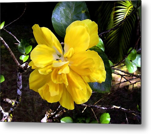 Flower Metal Print featuring the photograph Double Hibiscus Costa Rica by Kurt Van Wagner