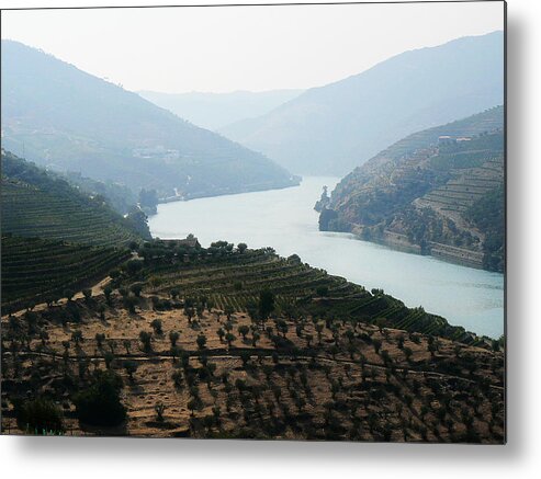 River Metal Print featuring the photograph Douro River by Paulo Goncalves