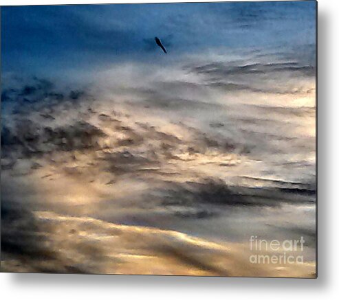 Sky Metal Print featuring the photograph Dragonfly in the Sky by Tamara Michael