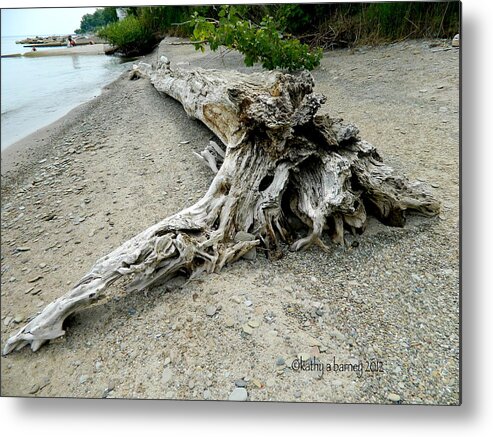 Flowers Metal Print featuring the photograph Driftwood at Lake Erie by Kathy Barney