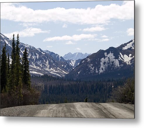 Denali National Park Metal Print featuring the photograph Drop Off by Tara Lynn