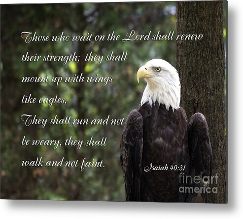 Bald Eagle Metal Print featuring the photograph Eagle Scripture Isaiah by Jill Lang