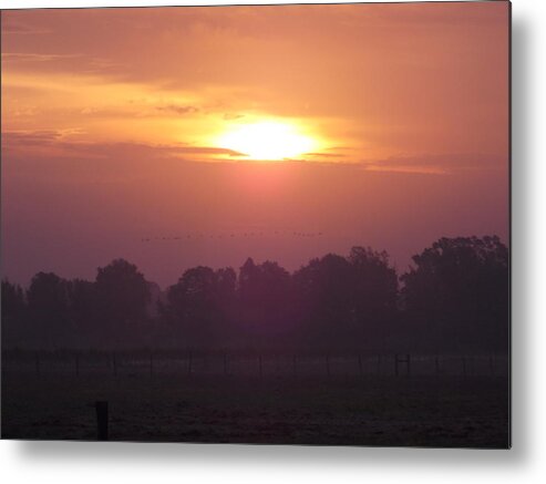 Louisiana Metal Print featuring the photograph Early Morning Risers by John Glass