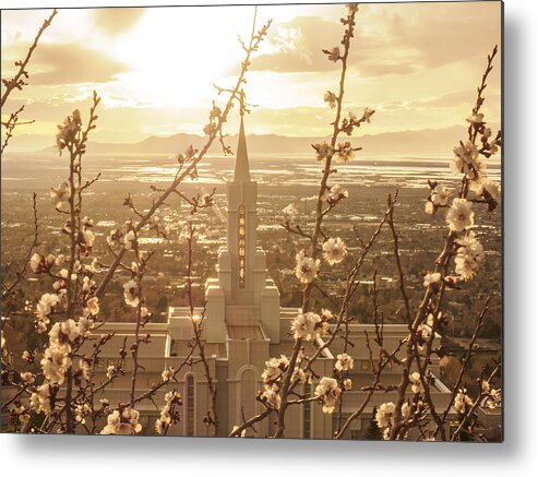 Bountiful Temple Metal Print featuring the photograph Earth Renewed by Emily Dickey