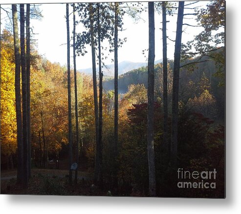 Pink Knob Metal Print featuring the painting Ellijay color by Jan Dappen
