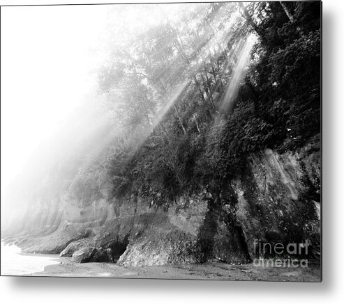 Shoreline Metal Print featuring the photograph Ethereal Seashore by Gayle Swigart