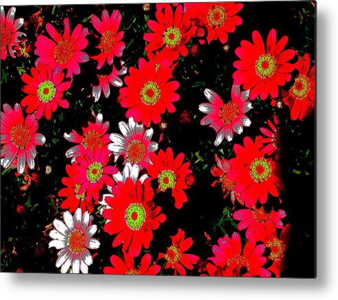 Flowers Metal Print featuring the photograph Faces In The Crowd by Derek Dean