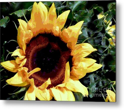 Sun Metal Print featuring the photograph Facing The Sun by Sally Simon