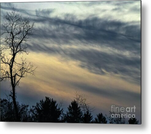 Winter Metal Print featuring the photograph Fade To Black by Charlie Cliques