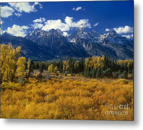 Dave Welling Metal Print featuring the photograph Fall Color Tetons Blacktail Ponds Grand Tetons Nationa by Dave Welling