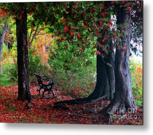 Autumn Metal Print featuring the photograph Fall In Henes Park by Ms Judi
