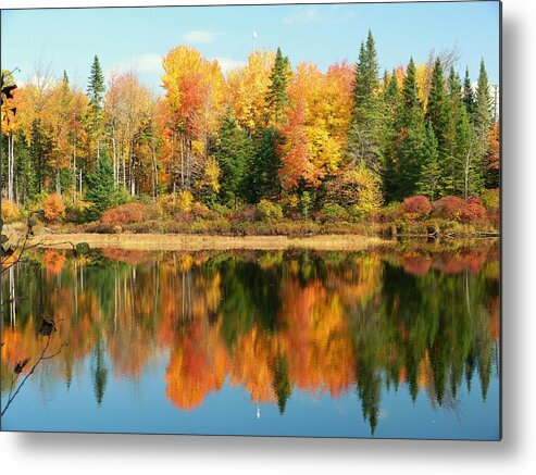 Autumn Landscape Metal Print featuring the photograph Fall Reflections by Elaine Franklin
