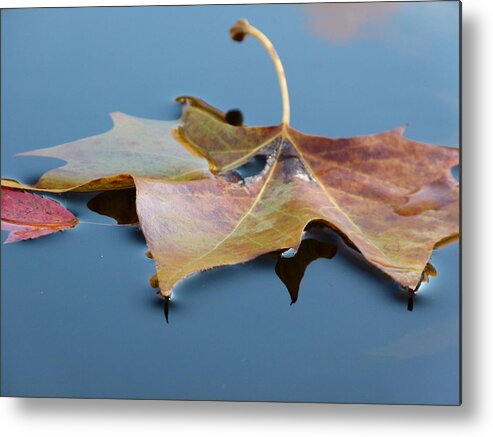 Leaves Metal Print featuring the photograph Fall Reflections by Jane Ford