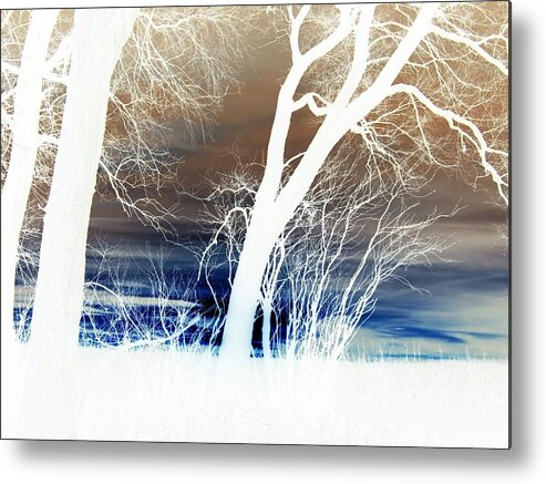 Trees Metal Print featuring the photograph Fall trees by Larry Campbell