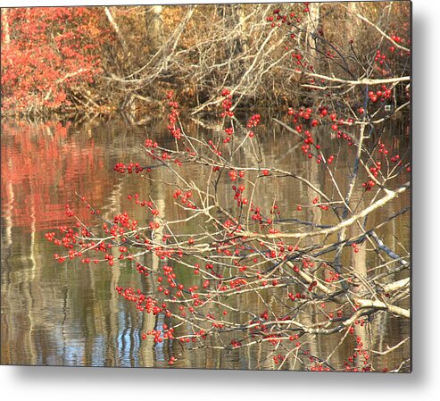 Berry Metal Print featuring the photograph Fall Upon The Water by Bruce Carpenter