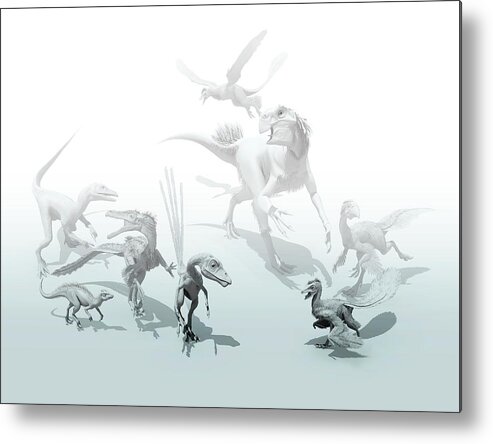 Animal Metal Print featuring the photograph Feathered Dinosaurs by Mikkel Juul Jensen