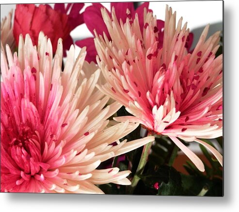 Feel The Love Card Of Blooming Metal Print featuring the photograph Feel the Heart Felt Love by Belinda Lee
