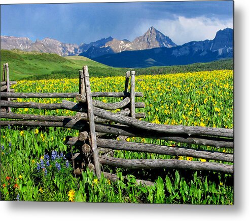 Mountains Metal Print featuring the photograph Fenceline Flowers by Rick Wicker