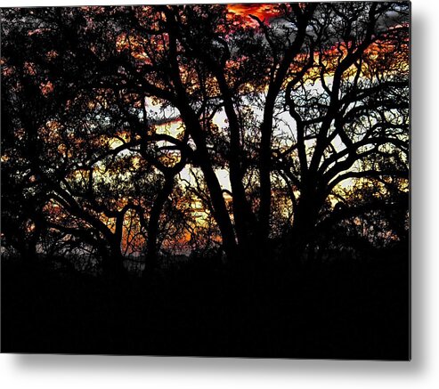 Texas Metal Print featuring the digital art Fire in the Trees by Robert Rhoads