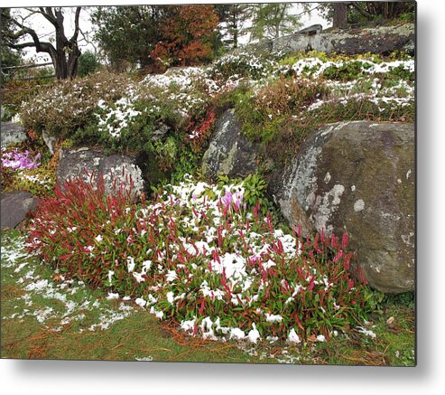 Floral Metal Print featuring the photograph First Autumn Snow by Barbara McDevitt