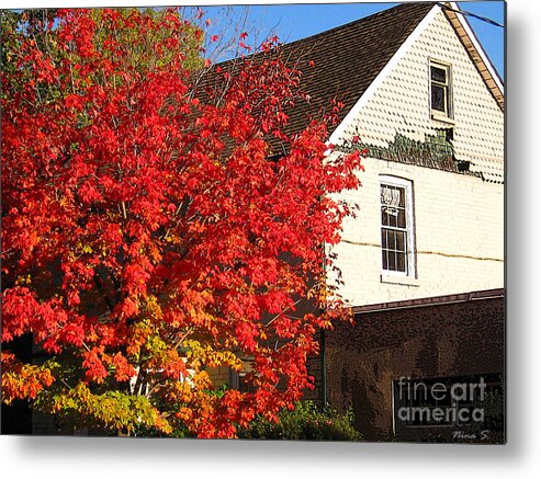 Fall Metal Print featuring the photograph Flaming fall colours on farm house by Nina Silver
