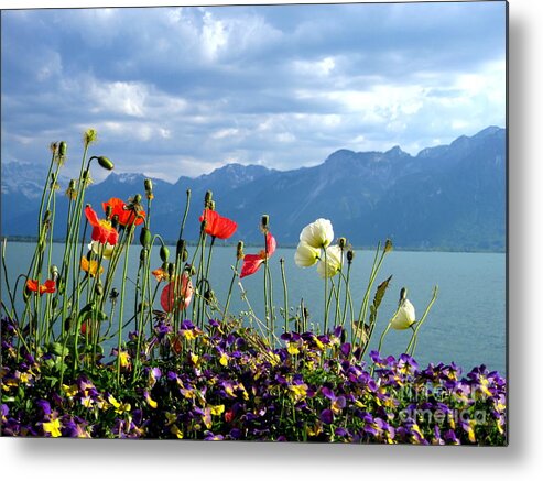Alps Metal Print featuring the photograph Floral Coast by Amanda Mohler