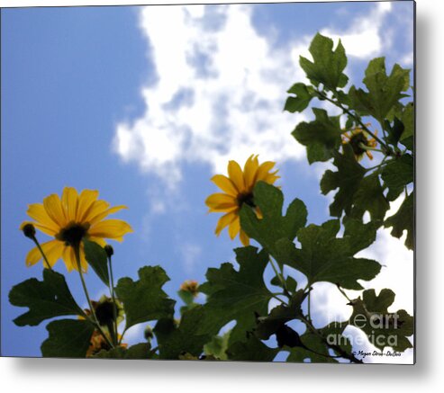 Florida Metal Print featuring the photograph Florida Sunshine1 by Megan Dirsa-DuBois