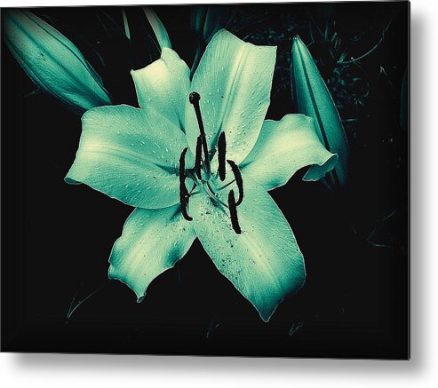  Metal Print featuring the digital art Flower 10 by The Lovelock experience