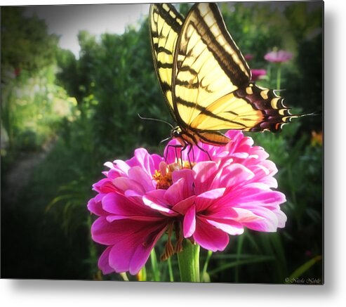 Butterfly Metal Print featuring the photograph Flower and Butterfly by Nicola Nobile