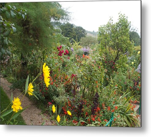 Flowers Metal Print featuring the photograph Flower Garden II by Kristine Bogdanovich