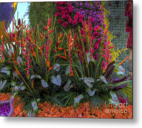 Orange Roses Metal Print featuring the photograph Flowers Everywhere by Mathias 