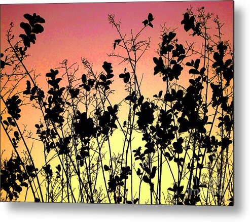  Agriculture Metal Print featuring the photograph Flowers in the backlight 2 by Amanda Mohler