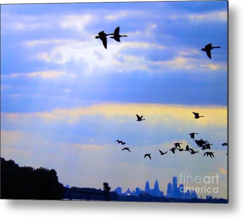 Fly Metal Print featuring the photograph Fly Like The Wind by Robyn King