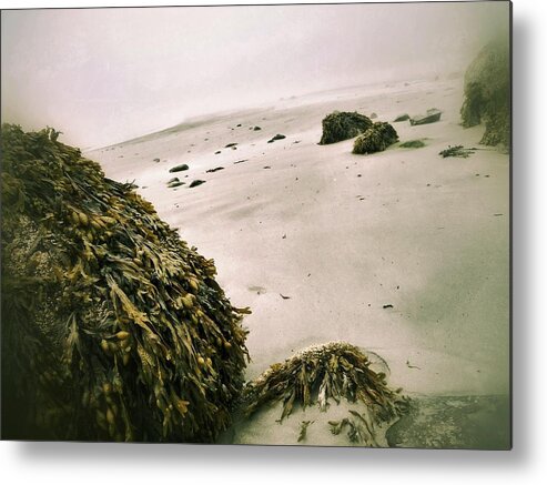 Fog Metal Print featuring the photograph Foggy shore by Olivier Calas