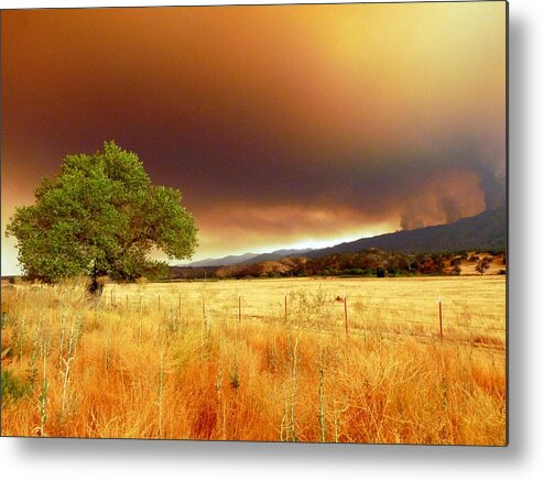 Rural Metal Print featuring the photograph Forest Fire Smoke Over Pasture and Oak by Jeff Lowe