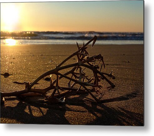 Beach Metal Print featuring the photograph Forgotten by Alessandro Della Pietra