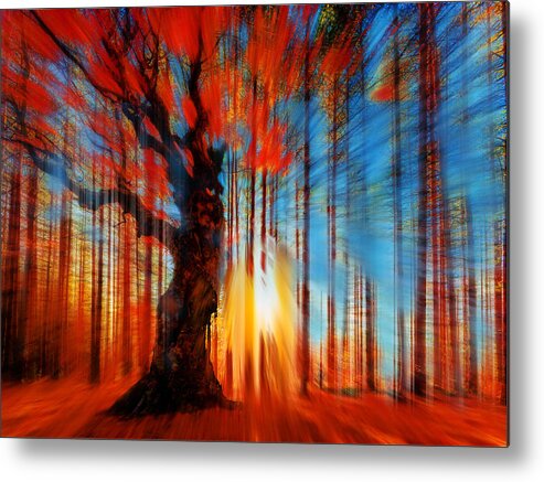 Color Metal Print featuring the painting Forrest And Light by Tony Rubino